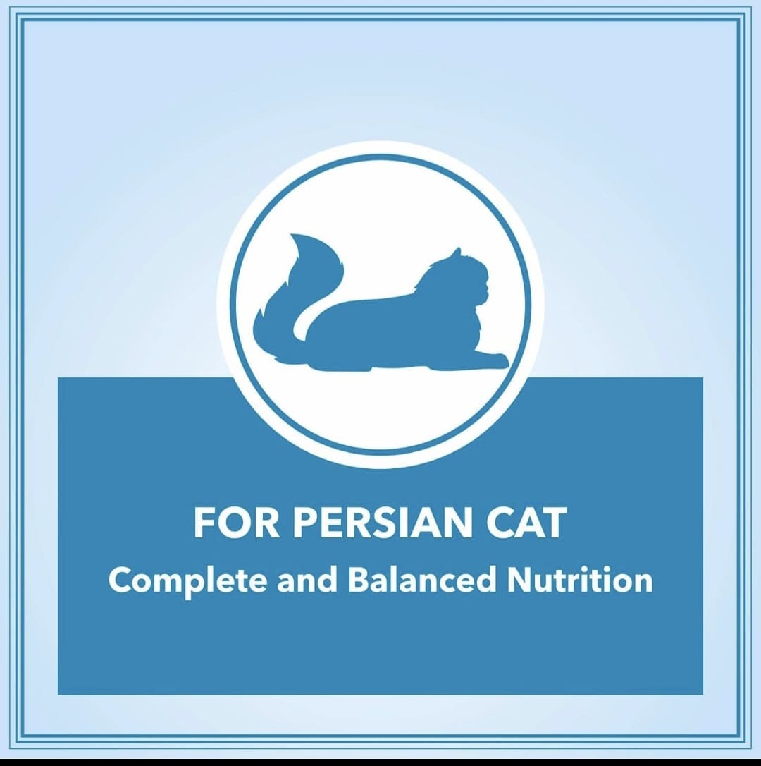 Let's Bite Active Persian Ocean Fish Cat Dry Food(Buy 1 Get 1 Free)