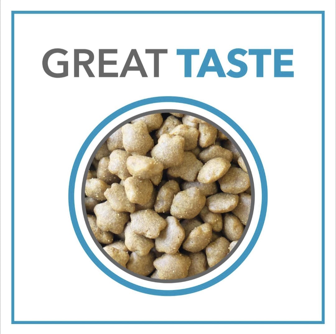 Purepet Kitten Tuna and Salmon Cat Dry Food