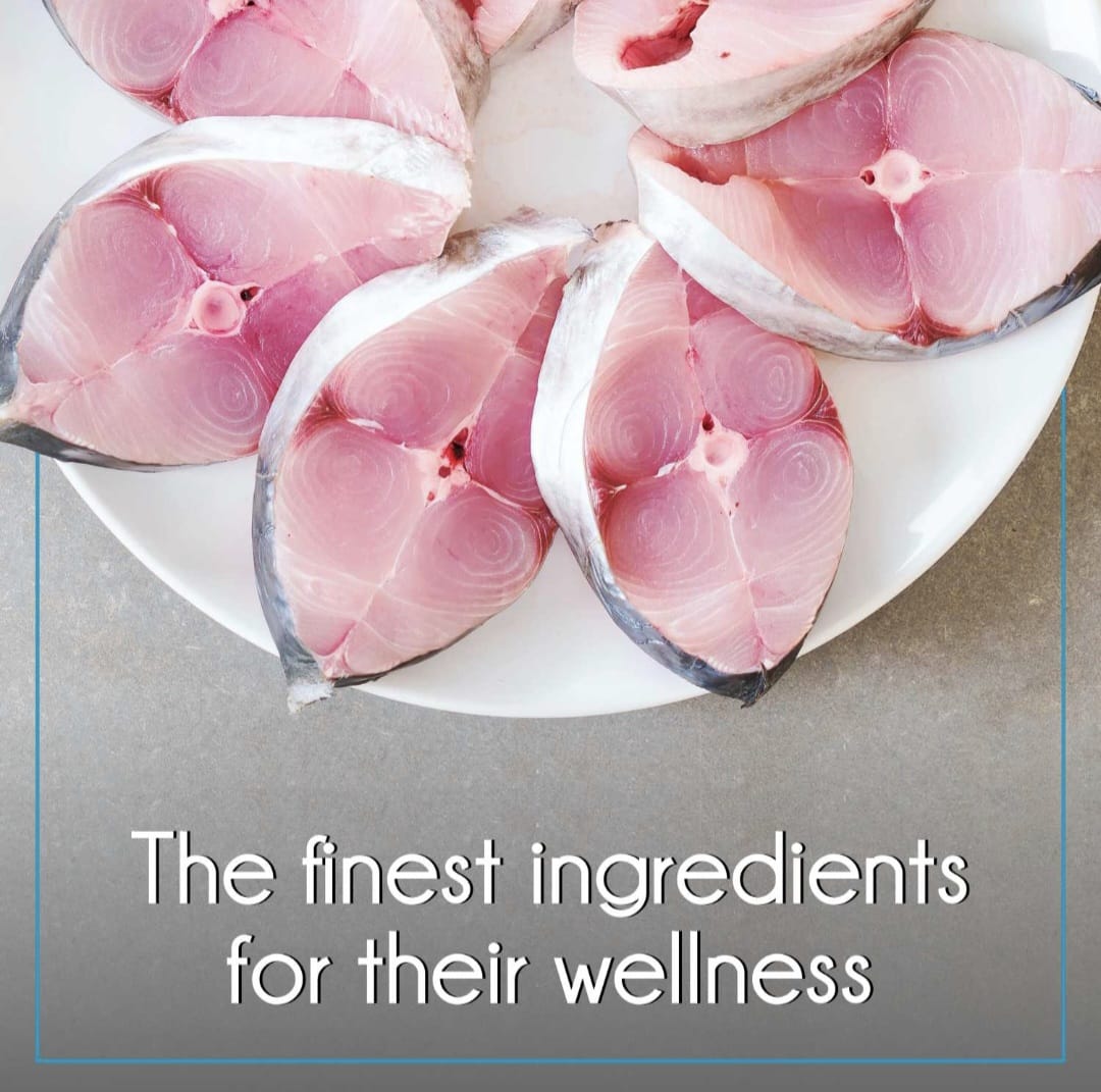 Purepet Kitten Tuna and Salmon Cat Dry Food