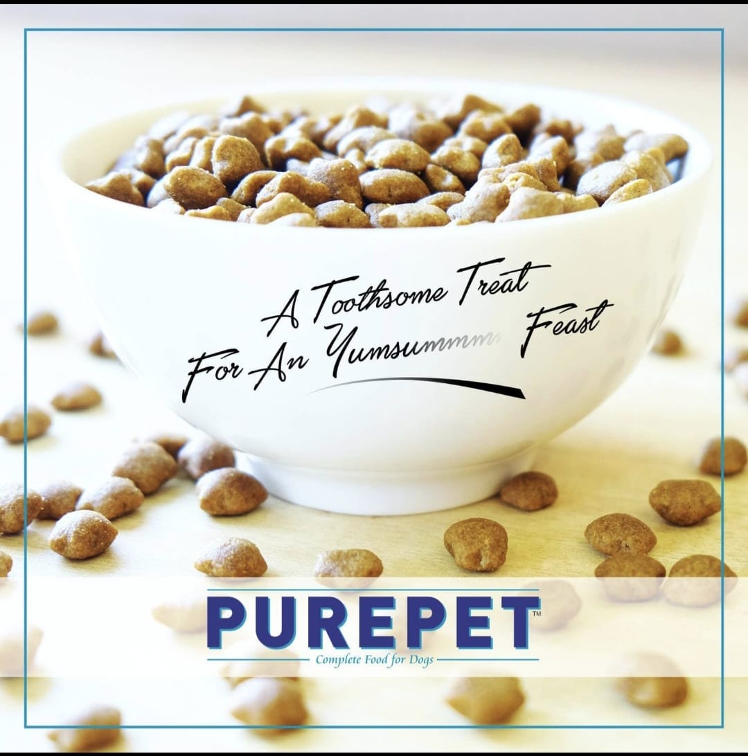 Purepet Kitten Tuna and Salmon Cat Dry Food