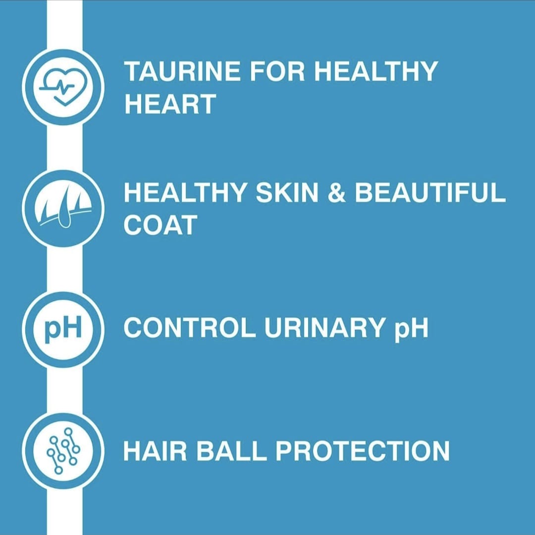 Purepet Kitten Ocean Fish Cat Dry Food