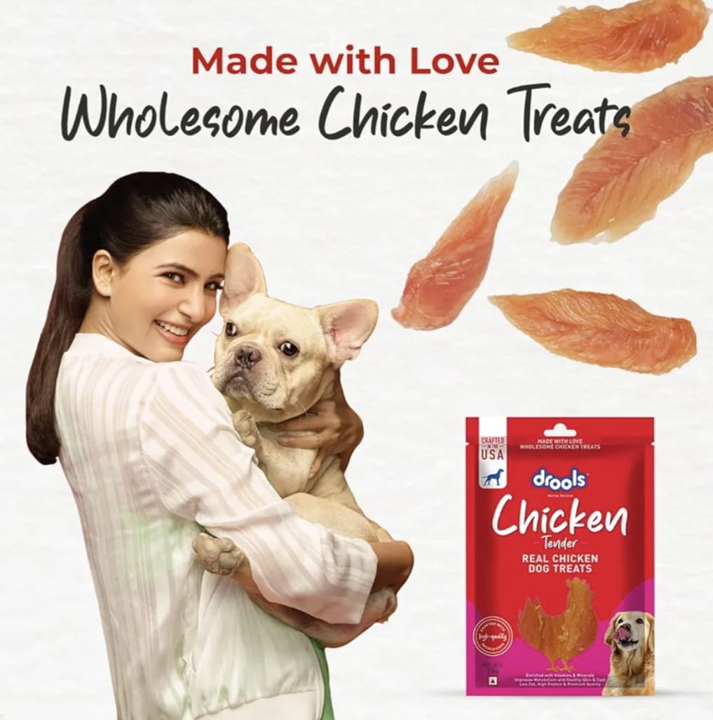 Drools Real Chicken Tender, Dog Treats Stick,