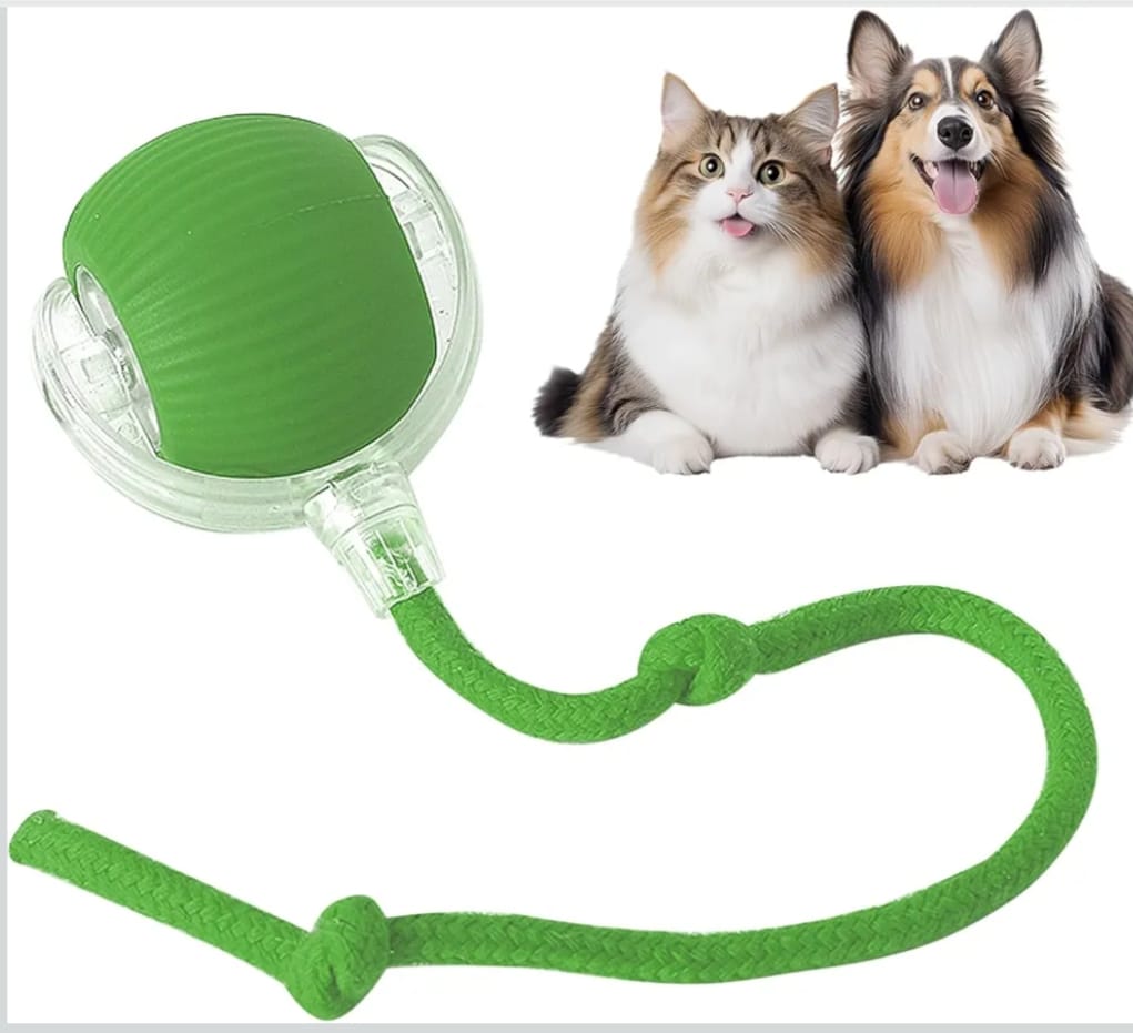 Interactive Cat Ball Toy, New Automatic Premium Smart Self Rolling Silicon, plastic Ball for Dog & Cat