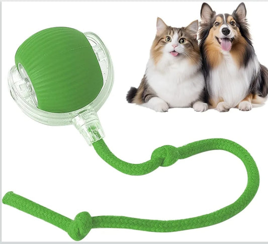 Interactive Cat Ball Toy, New Automatic Premium Smart Self Rolling Silicon, plastic Ball for Dog & Cat
