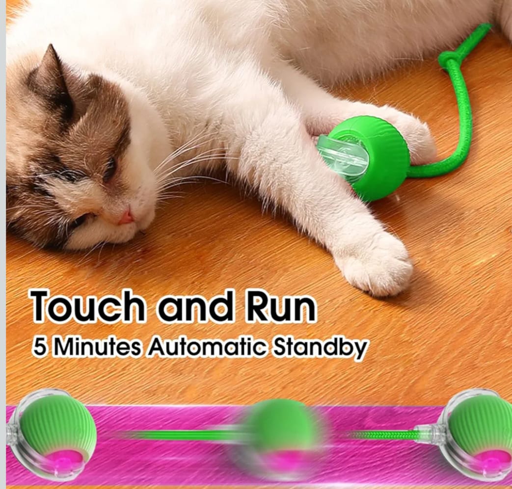 Interactive Cat Ball Toy, New Automatic Premium Smart Self Rolling Silicon, plastic Ball for Dog & Cat