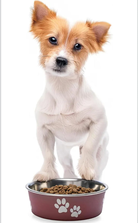 Dog and Cat Bella Bowls Merlot Red