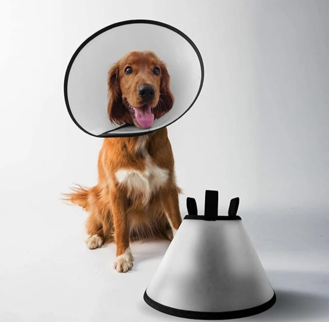 Colored Elizabethan Collar Pet Anti-Bite Lick Dog and Cat Protective Coller Neck Wound Healing Pet Lick and Scratch Protecter