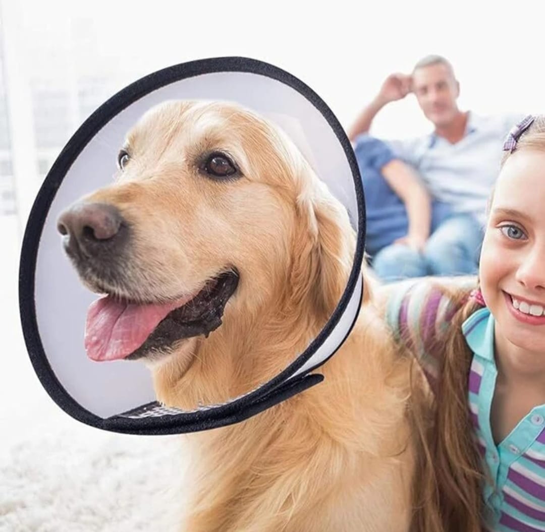 Colored Elizabethan Collar Pet Anti-Bite Lick Dog and Cat Protective Coller Neck Wound Healing Pet Lick and Scratch Protecter