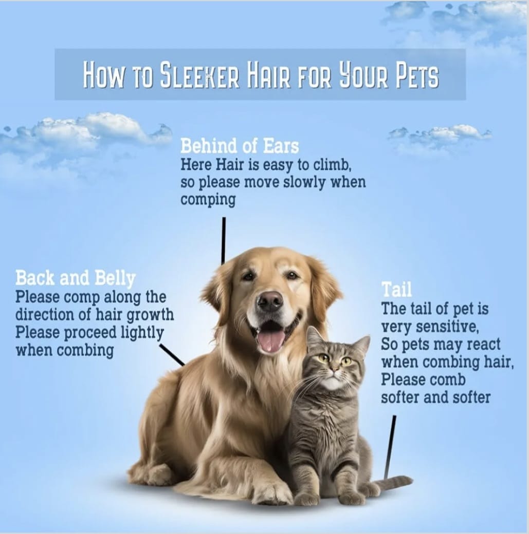 Pet Needs Self Cleaning Pet Grooming Brush with Round Head, Remove Excess and Dead Hair Slicker Brushes for Dog & Cat 