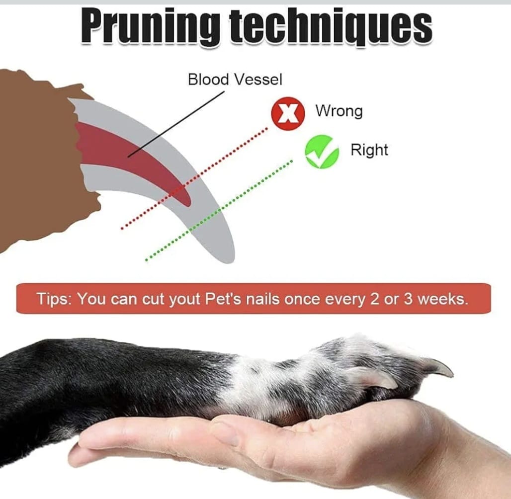 Nail Clipper for Dogs and Cats (Black/Red)