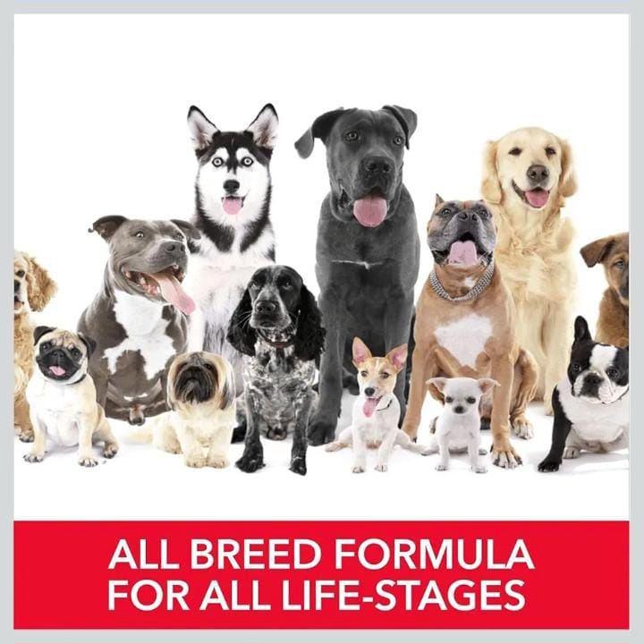 Drools Absolute Calcium Milk Bone for All Life Stages Pouch for Dogs