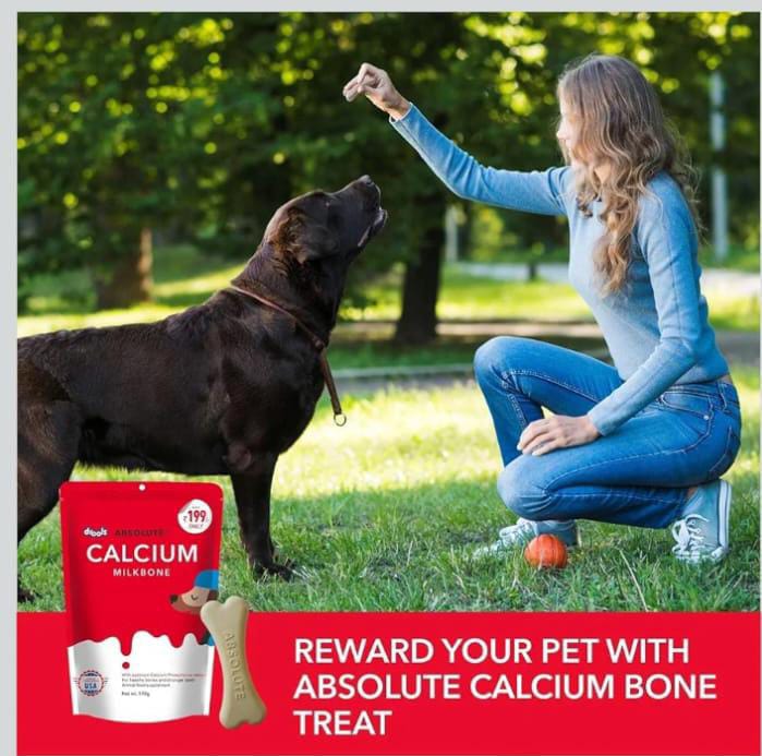 Drools Absolute Calcium Milk Bone for All Life Stages Pouch for Dogs