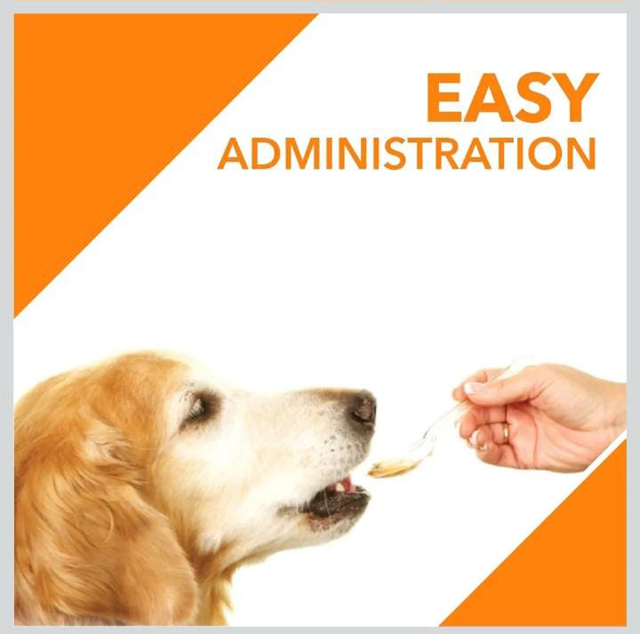 Drools Absolute Salmon Oil Syrup-Dog Supplement