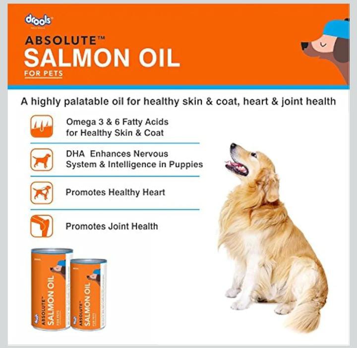 Drools Absolute Salmon Oil Syrup-Dog Supplement