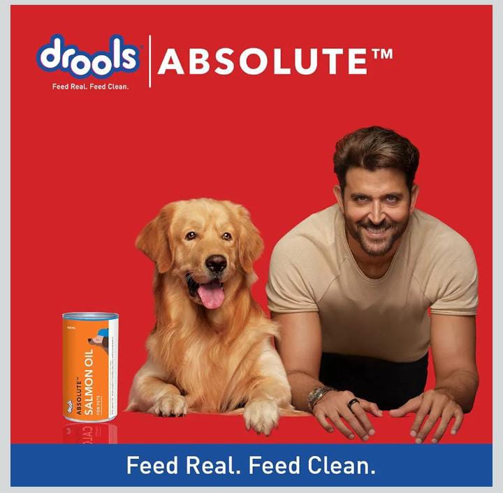 Drools Absolute Salmon Oil Syrup-Dog Supplement