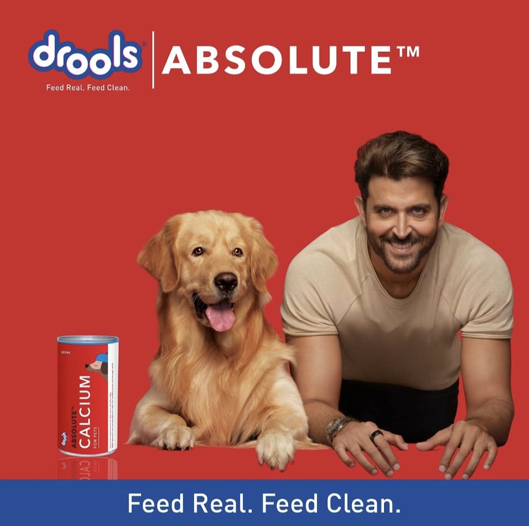 Drools Absolute Calcium supplement syrup for pets