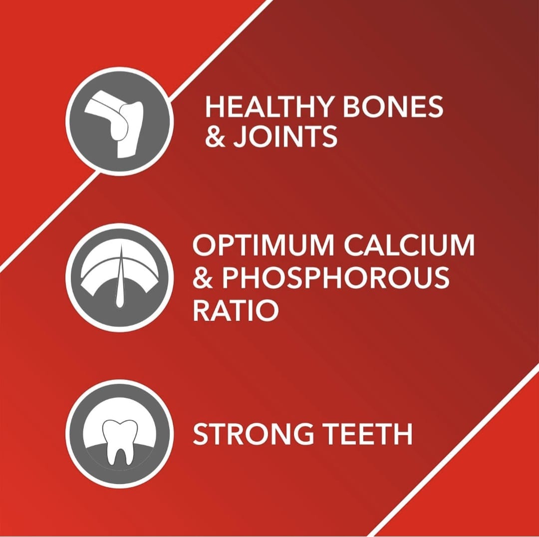 Drools Absolute Calcium supplement syrup for pets