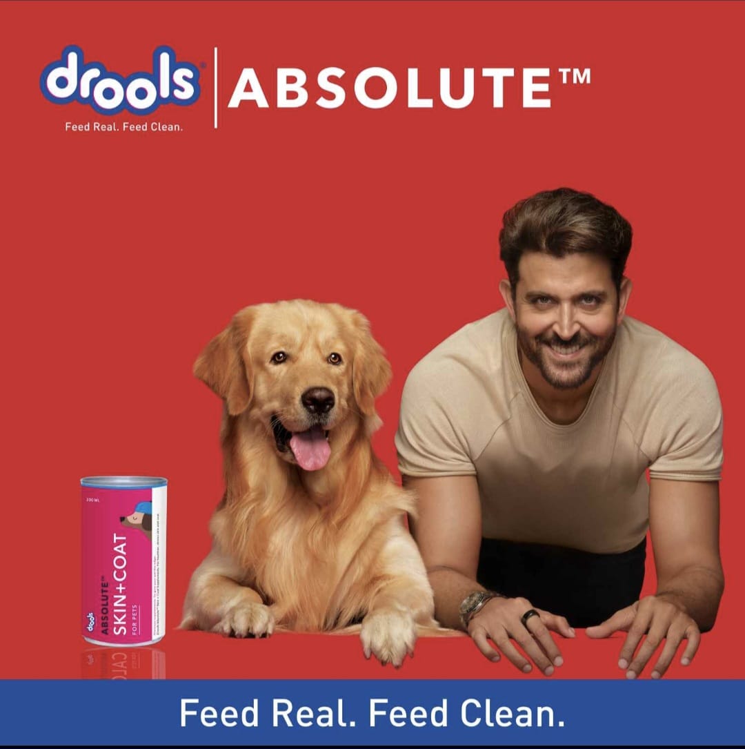 Drools Absolute Skin+Coat Supplement Syrup for Pets