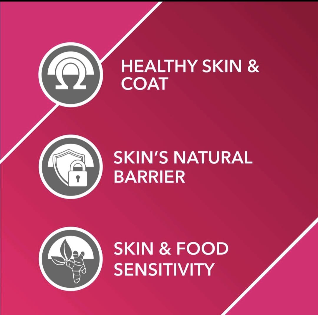 Drools Absolute Skin+Coat Supplement Syrup for Pets