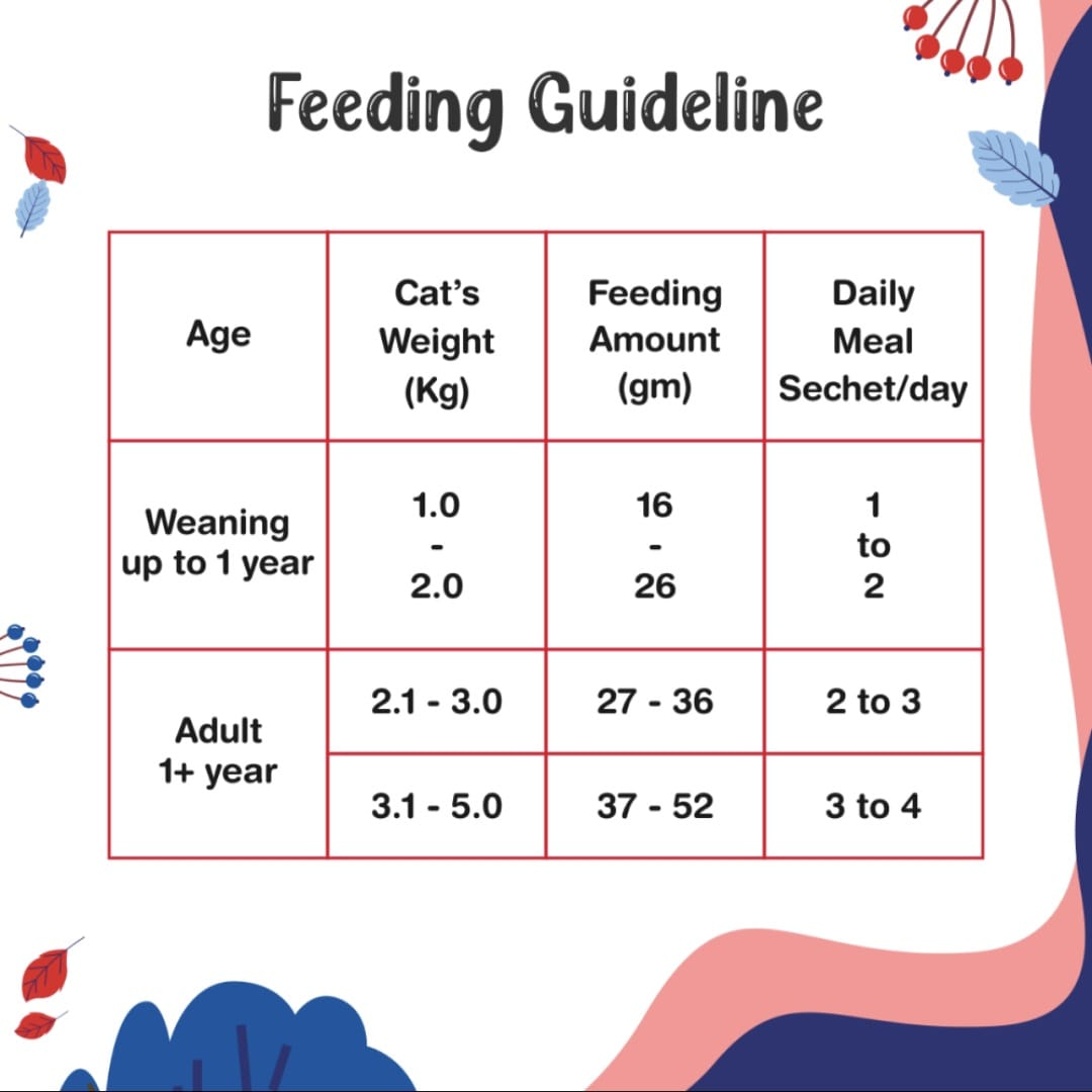 Drools Seafood Medley Creamy Cat Treats