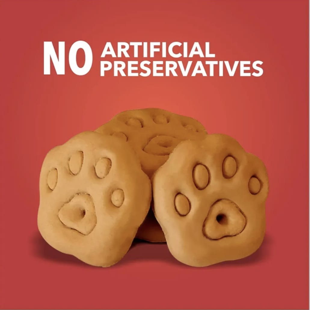 Drools Chicken and Egg Biscuit Dog Treats