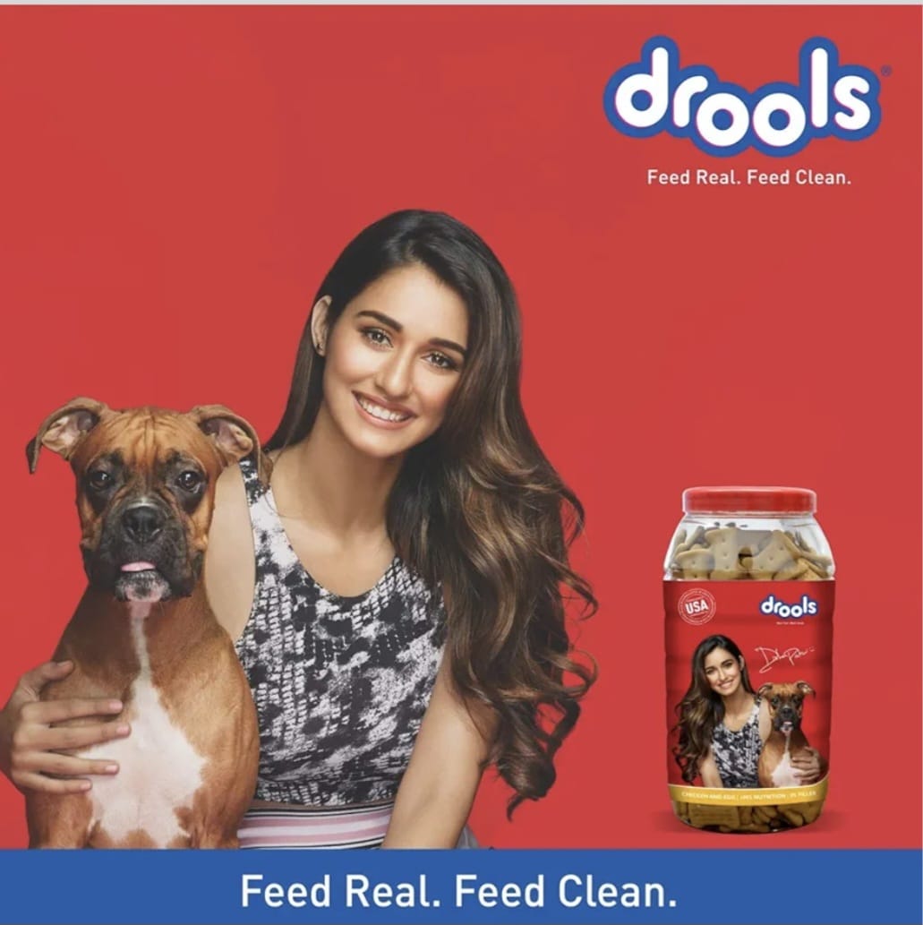 Drools Chicken and Egg Biscuit Dog Treats