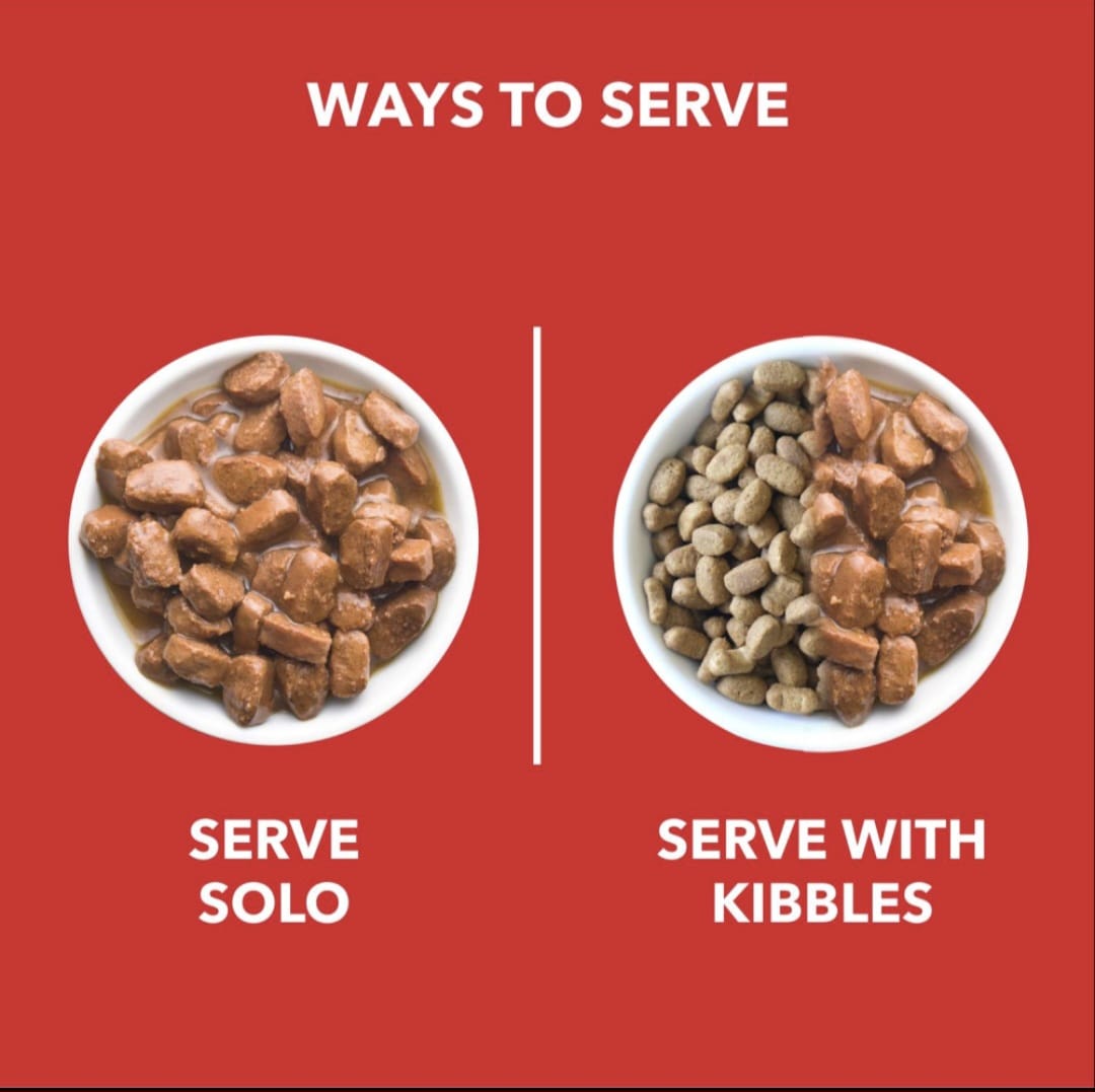 Drools Real Chicken & Chicken Liver Chunks in Gravy Puppy Dog Wet Food