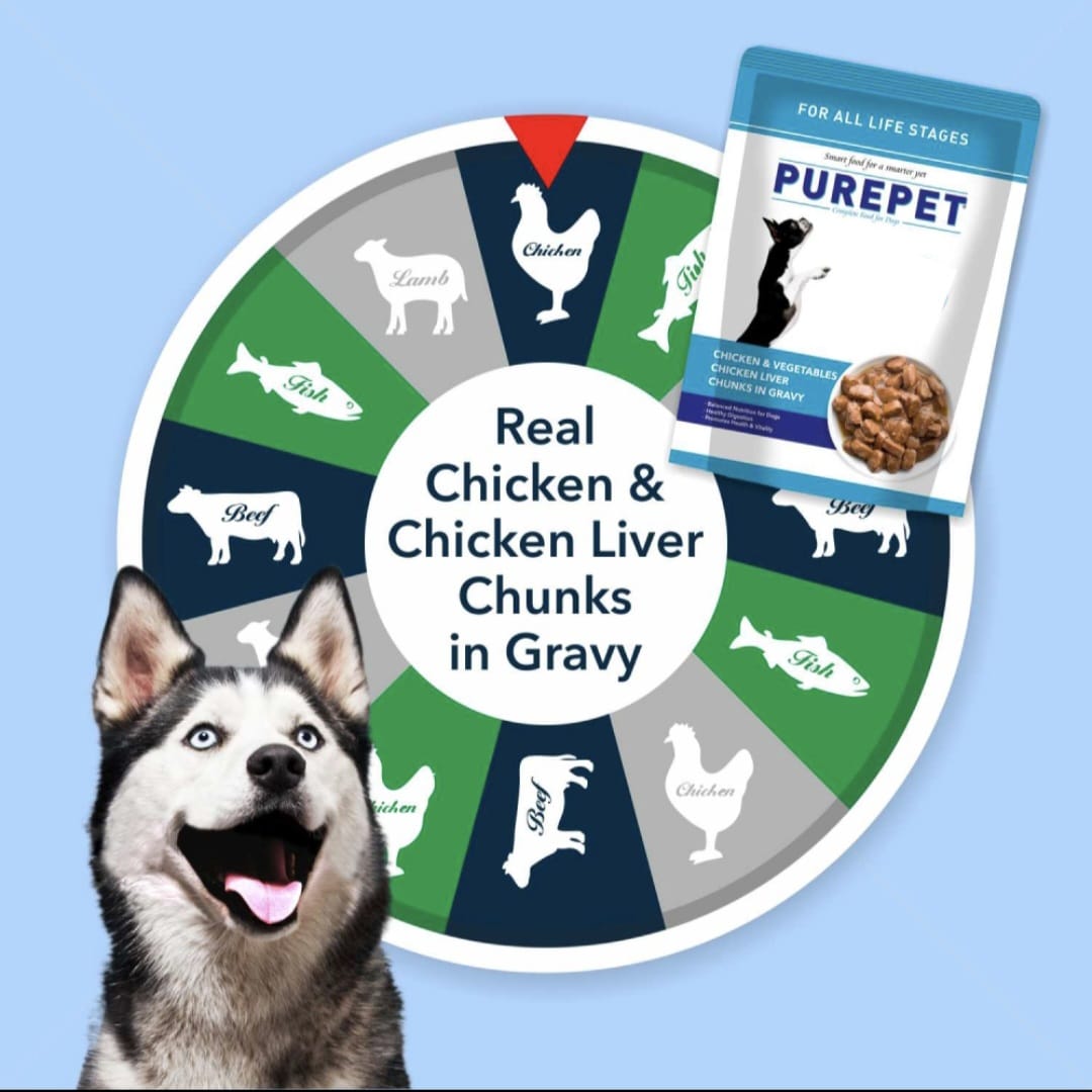 Purepet Chicken & Vegetable Chunks in Gravy Adult Dog Wet Food