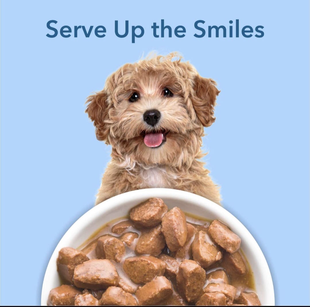 Purepet Chicken & Vegetable Chunks in Gravy Adult Dog Wet Food