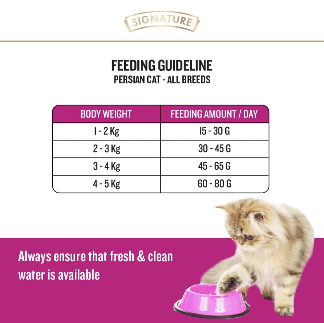 Signature Grain Zero Ocean Fish, Sardine and Mackerel Persian & Long Coat Cat Dry Food