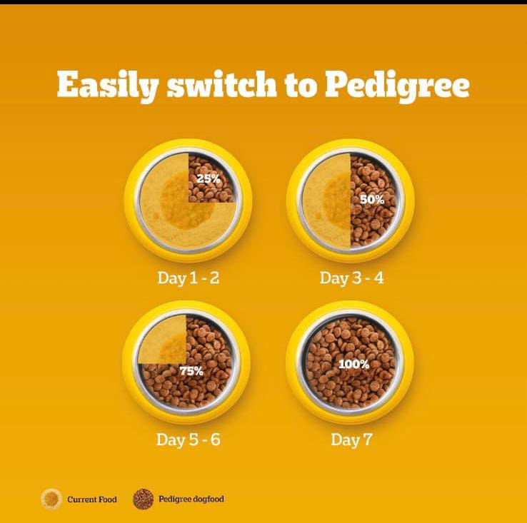 Pedigree Meat & Milk Puppy Dog Dry Food