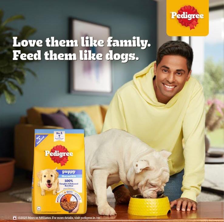 Pedigree Meat & Milk Puppy Dog Dry Food