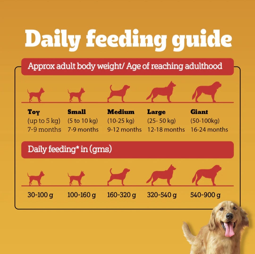 Pedigree Chicken & Veg Adult Dog Dry Food