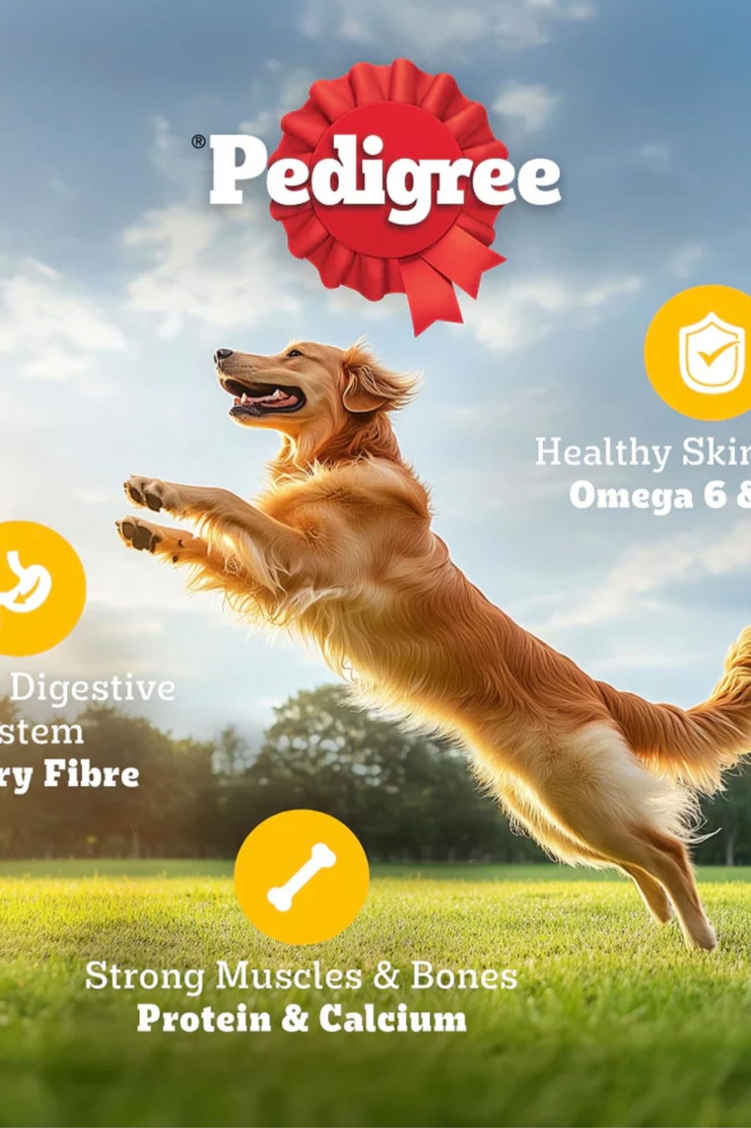 Pedigree 100% Veg Puppy & Adult Dog Dry Food