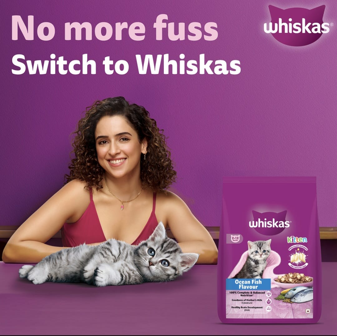 Whiskas Ocean Fish Kitten Cat Dry Food
