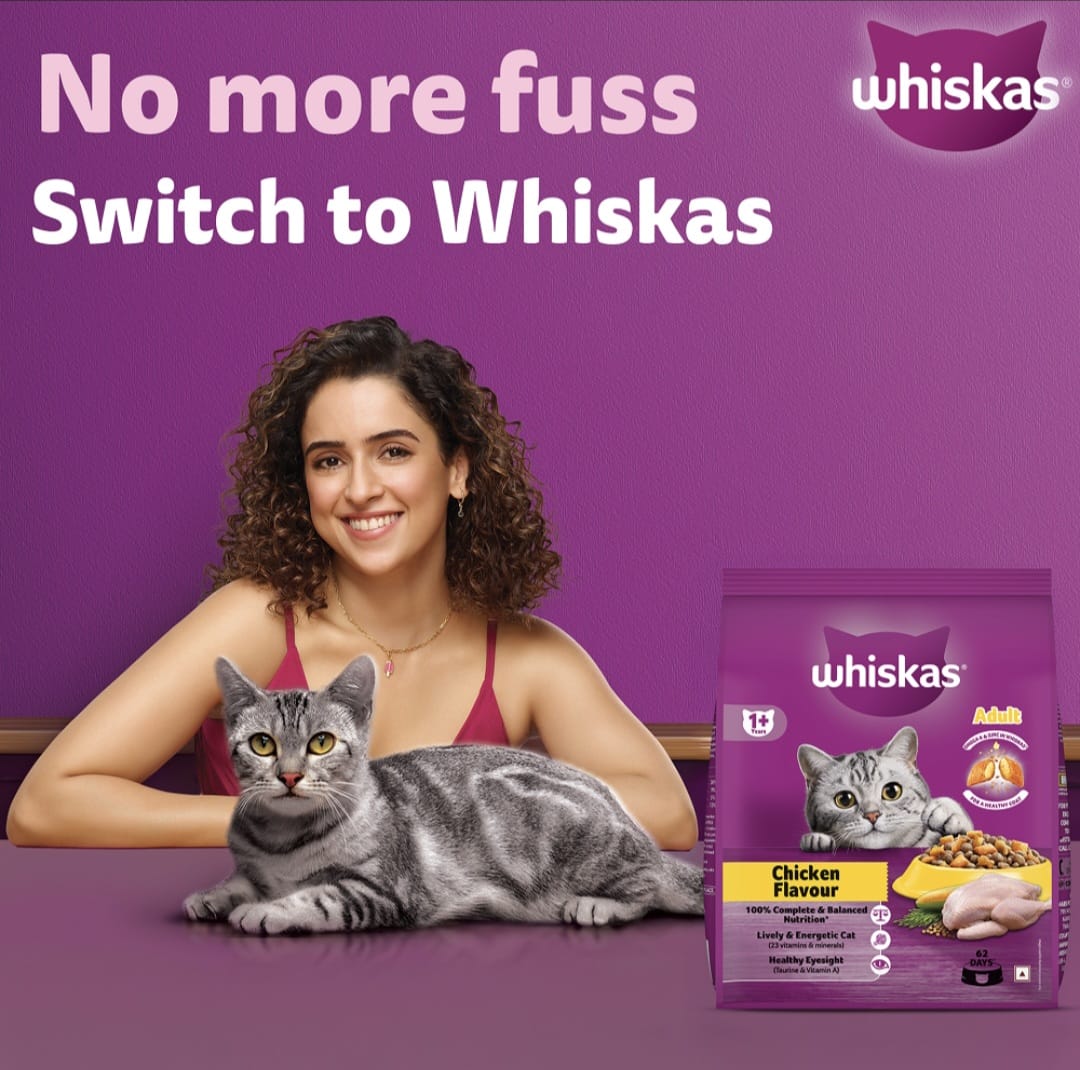 Whiskas Chicken Flavour Adult Cat Dry Food