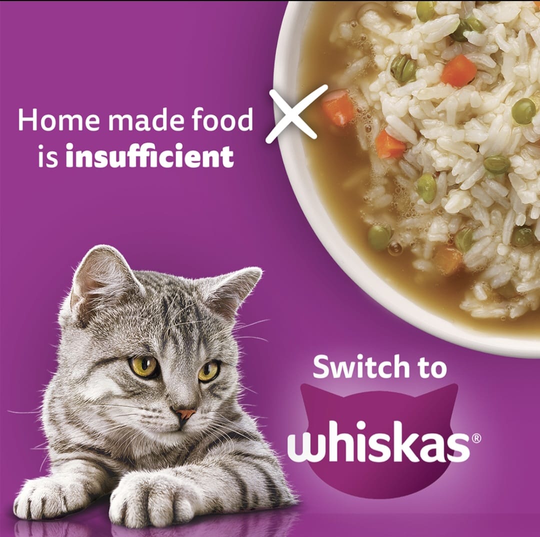 Whiskas Mackerel Flavour Kitten Dry Food