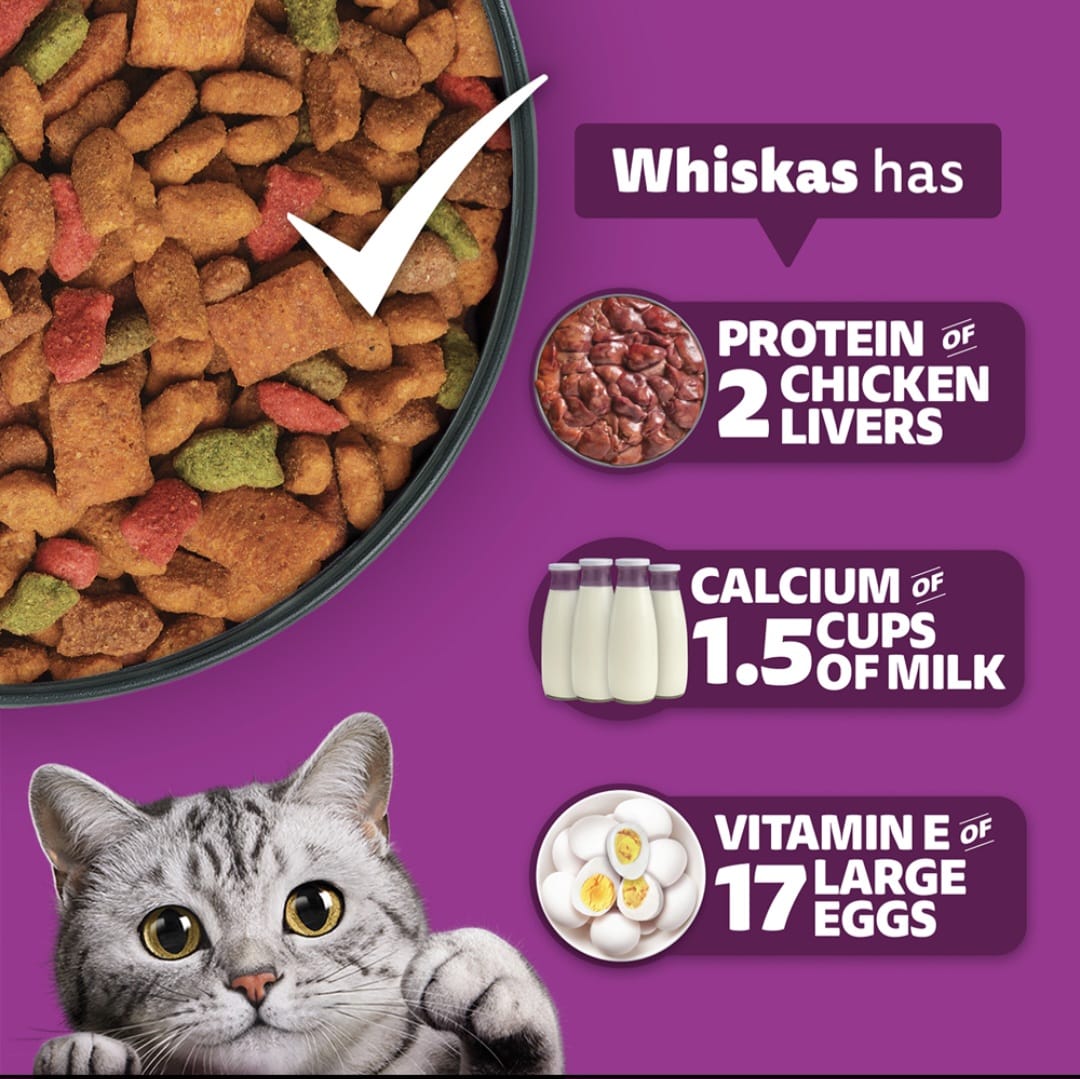 Whiskas Mackerel Flavour Kitten Dry Food