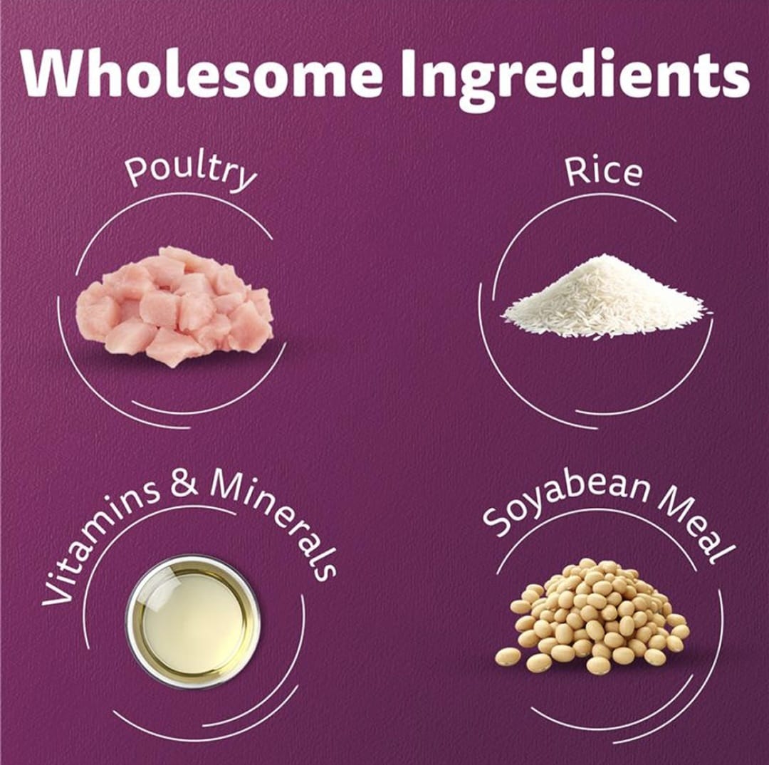 Whiskas Tuna Flavour Adult Cat Dry Food