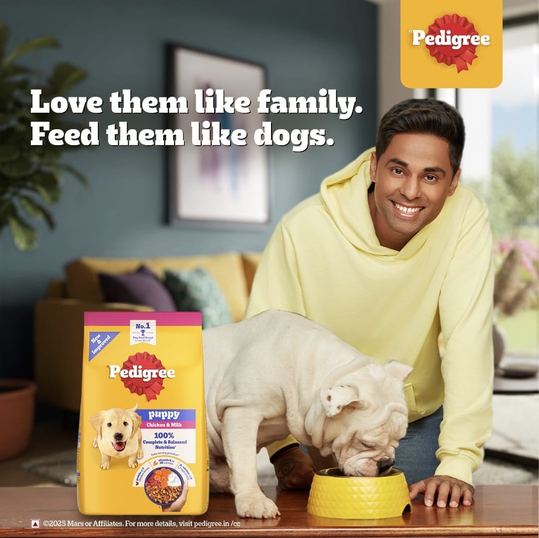 Pedigree Chicken and Milk Puppy Dog Dry Food