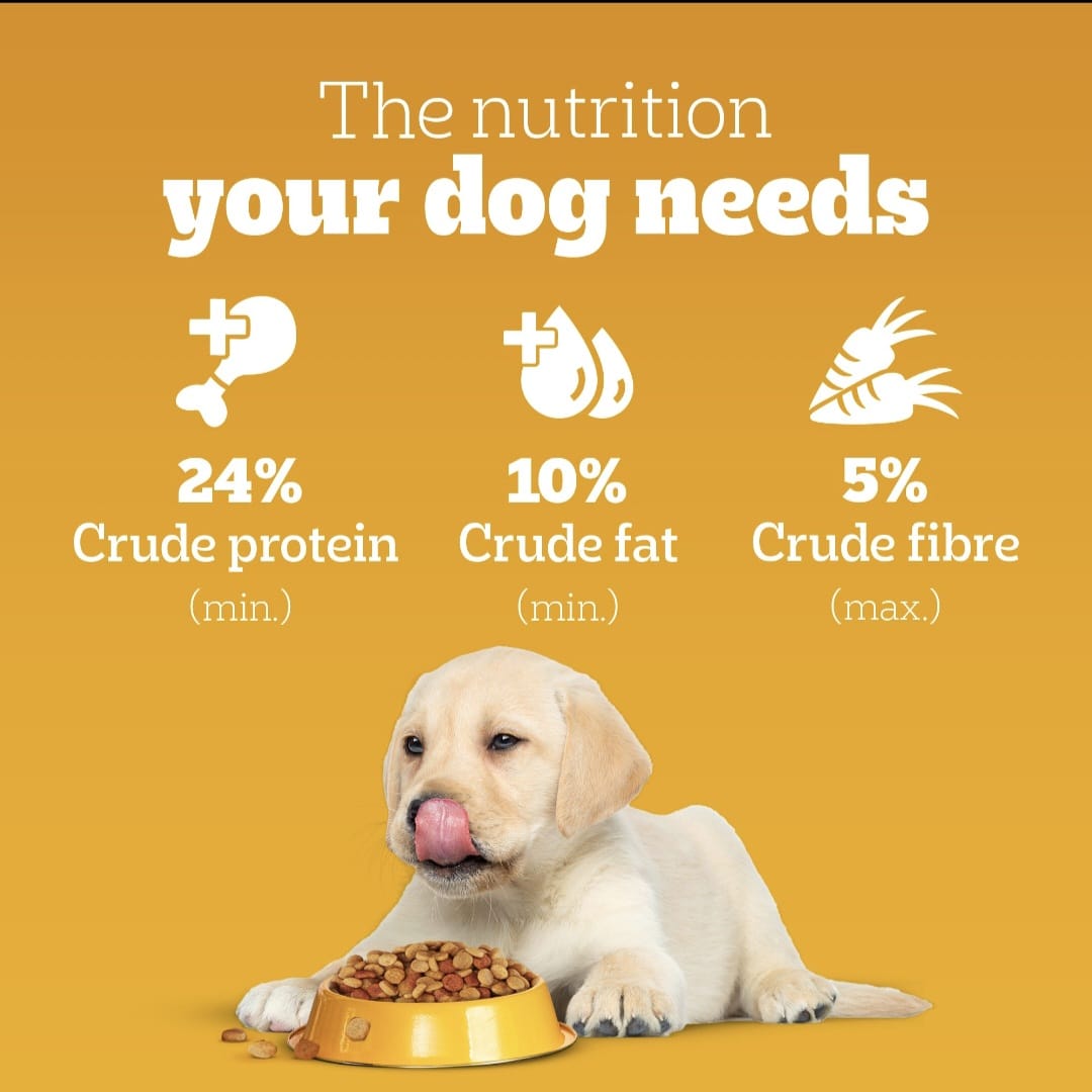 Pedigree Chicken and Milk Puppy Dog Dry Food