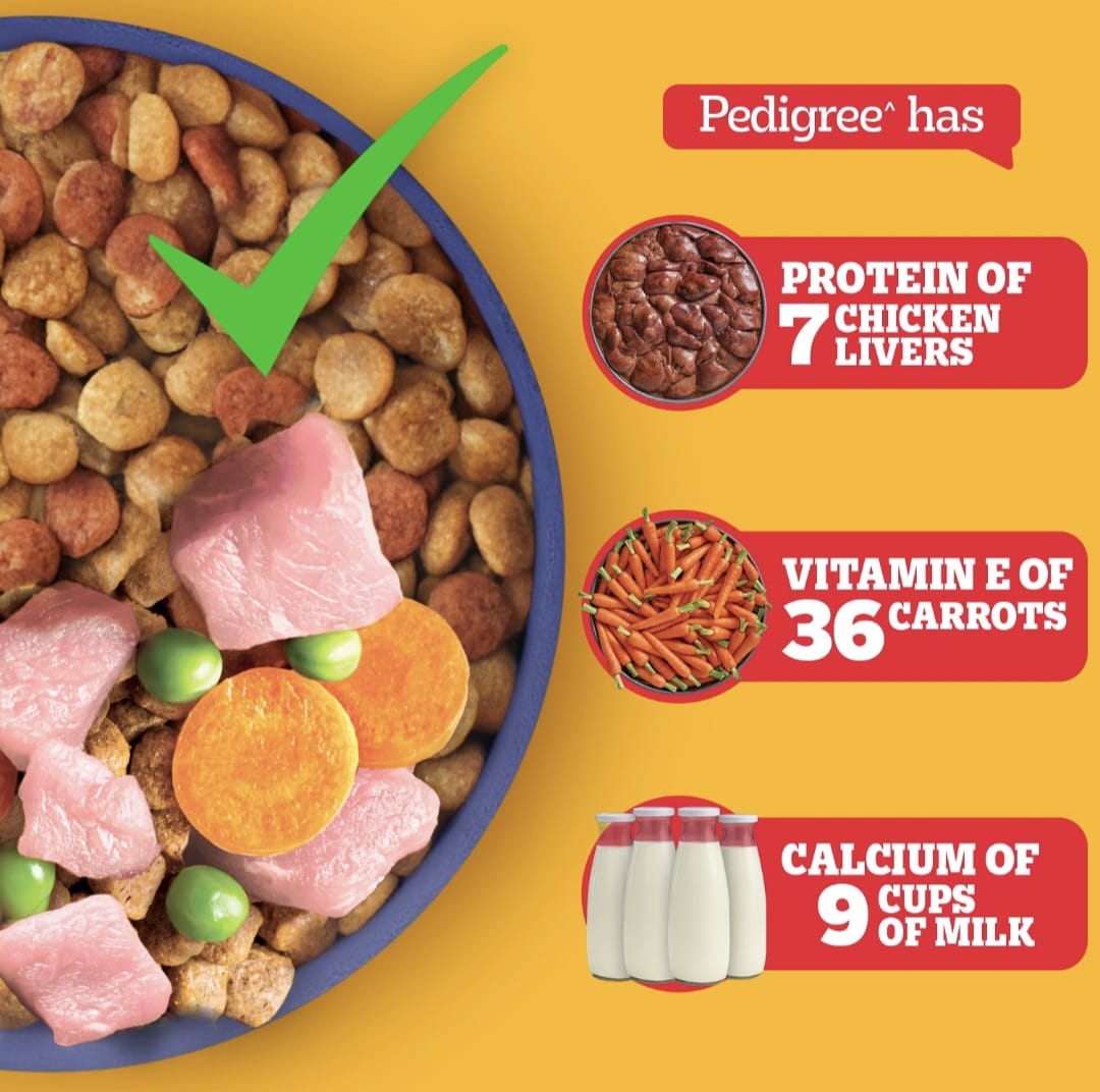 Pedigree Chicken and Milk Puppy Dog Dry Food
