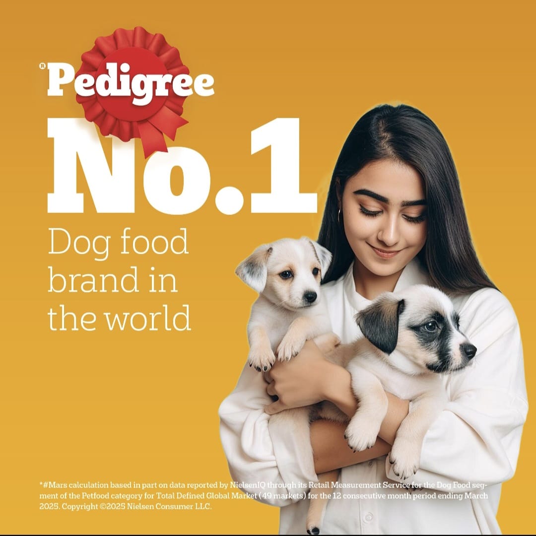 Pedigree Chicken and Milk Puppy Dog Dry Food