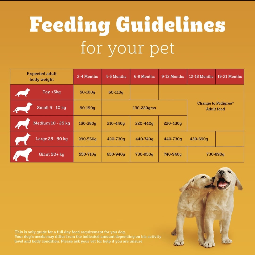 Pedigree Chicken and Milk Puppy Dog Dry Food