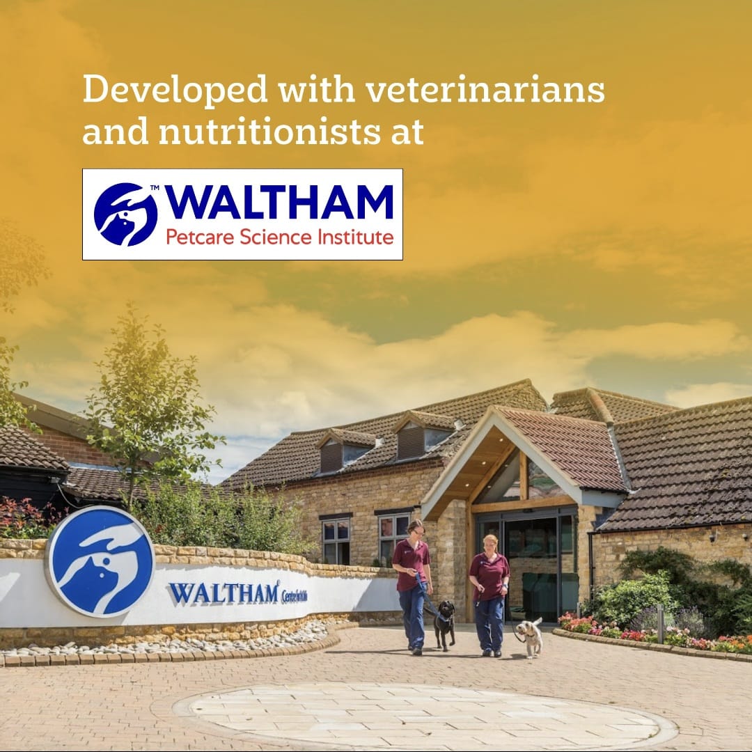 Pedigree Chicken and Milk Puppy Dog Dry Food