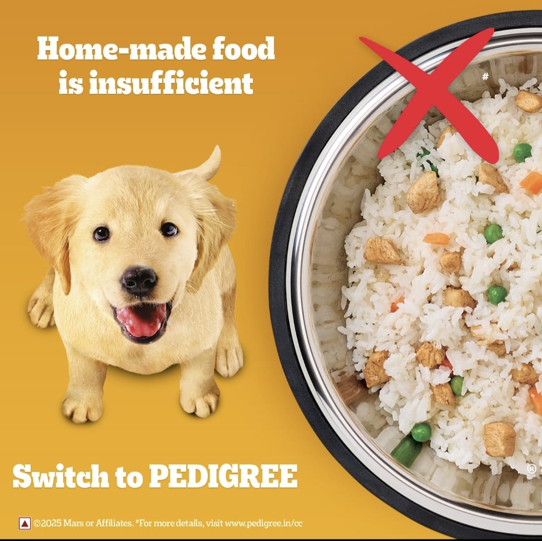 Pedigree Chicken and Milk Puppy Dog Dry Food