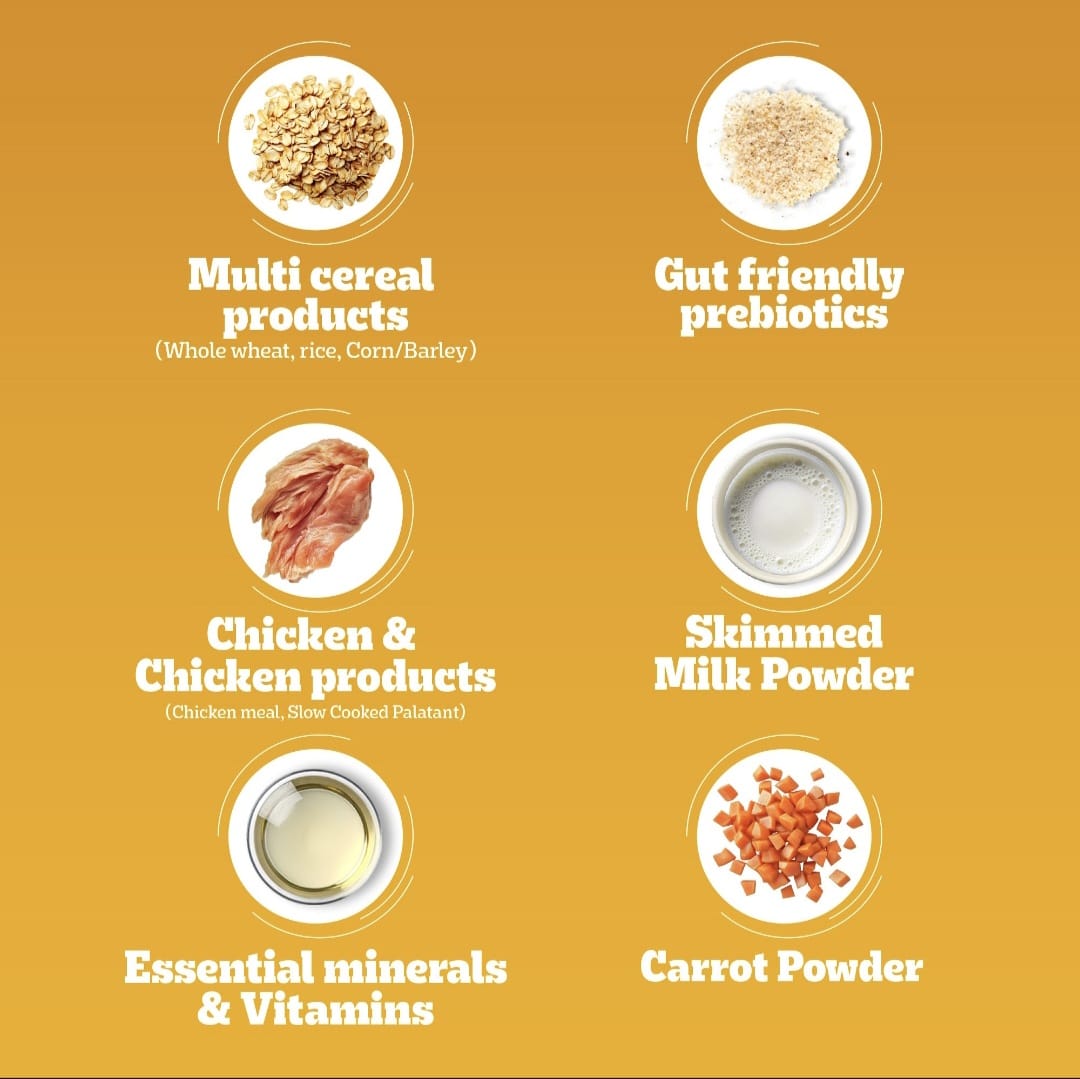 Pedigree Chicken and Milk Puppy Dog Dry Food