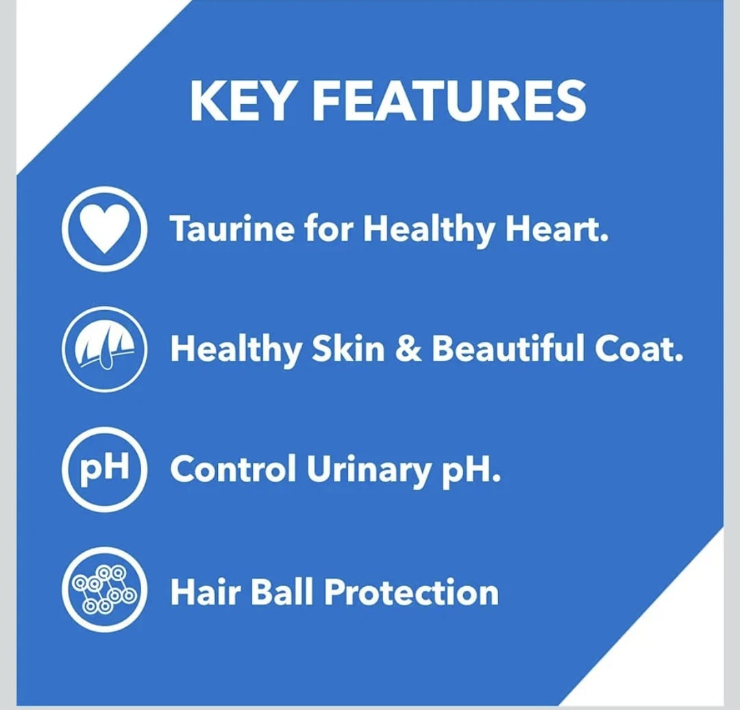 Drools Ocean Fish Adult Cat Dry Food