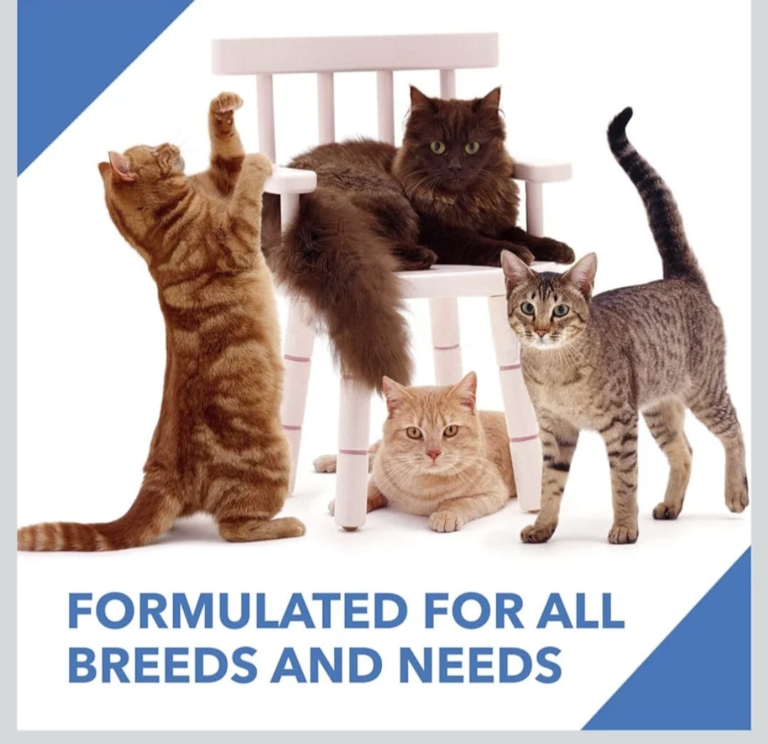 Drools Ocean Fish Adult Cat Dry Food