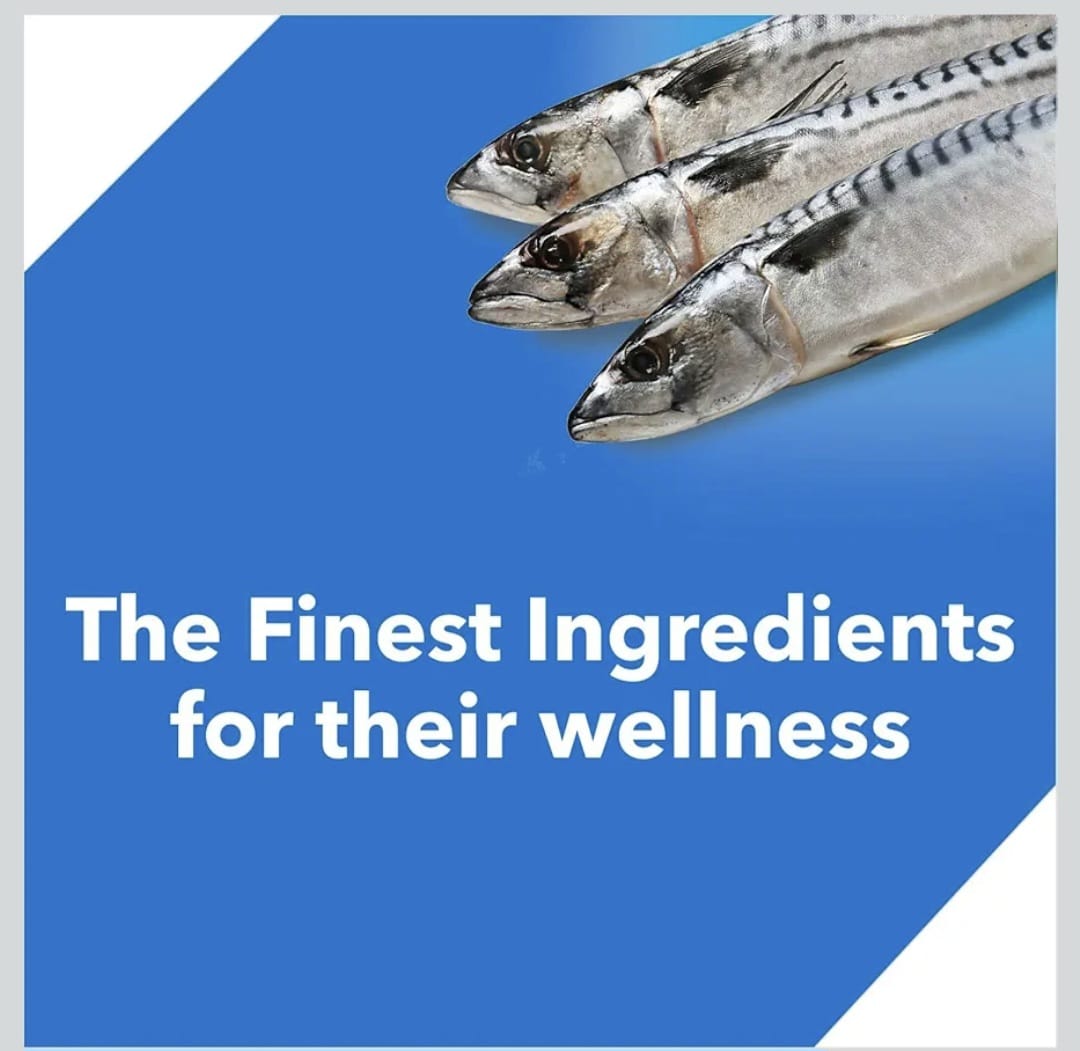 Drools Ocean Fish Adult Cat Dry Food